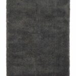 Asiatic Lulu charcoal