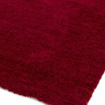 Asiatic Milo berry 02