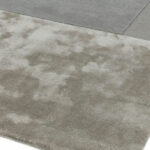 Asiatic Tate silver 2