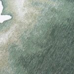 Louis De Poortere teppich Meditation Lagoon 9331 Palm Green zoom 2