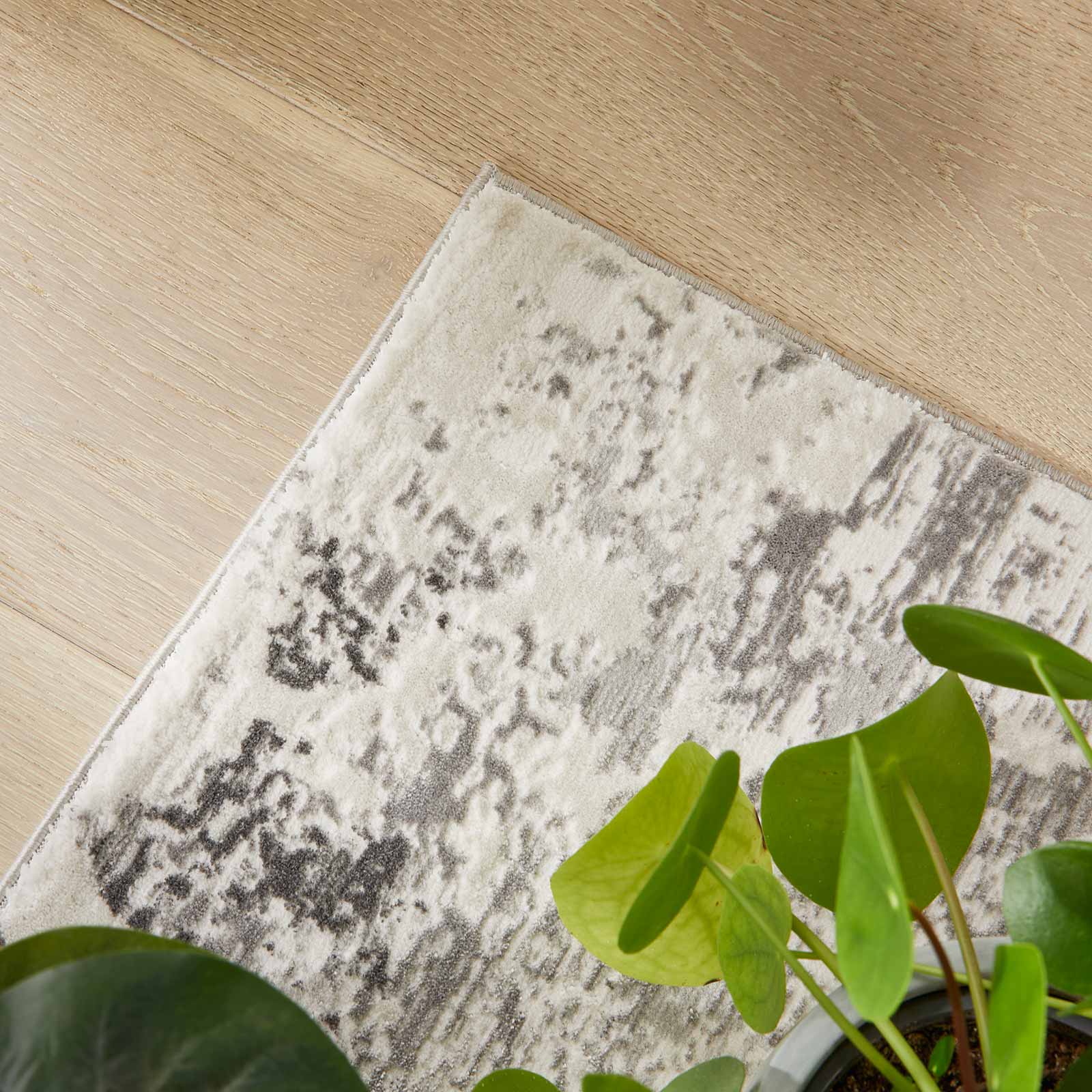 Concept Looms Teppich Olivia OLI105 GREY interior 3